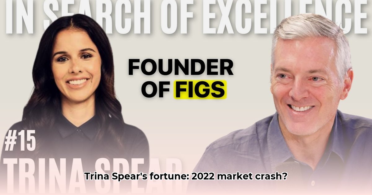 trina-spear-net-worth